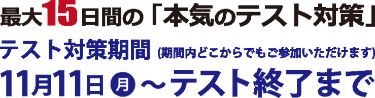 最大15日間の「本気のテスト対策」